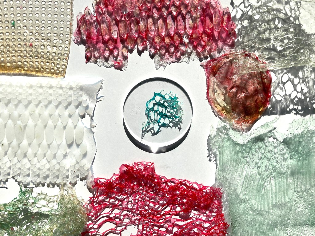 Biodesign Is the Newest Technology in Sustainable Fashion - BRICKS Magazine